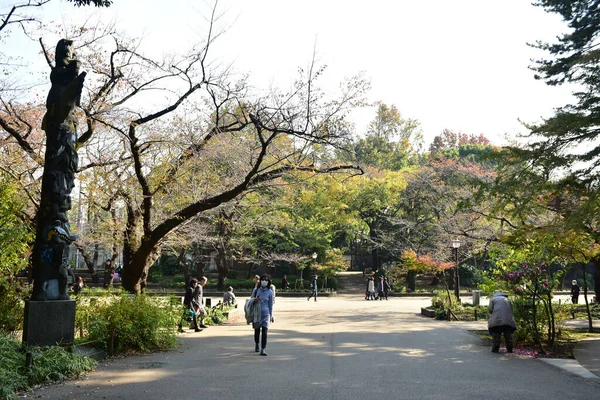 日本2018年11月27日確認されていない多くの人々が上野公園を歩いていて 庭の秋の木を見ています — ストック写真