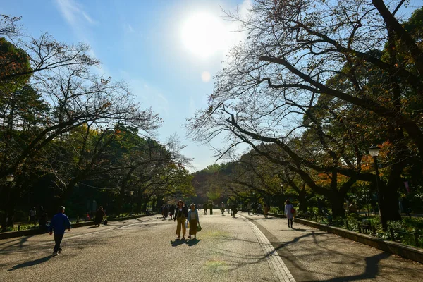 日本2018年11月27日確認されていない多くの人々が上野公園を歩いていて 庭の秋の木を見ています — ストック写真