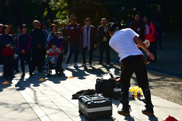 Tokyo, Japonya 27 Kasım 2018 Kimliği belirsiz birçok insan Ueno parkında yürüyor ve bahçedeki sonbahar ağacını izliyor. .