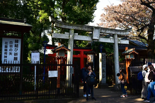 日本2018年11月27日確認されていない多くの人々が上野公園を歩いていて 庭の秋の木を見ています — ストック写真