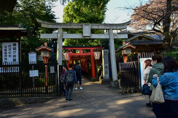 日本2018年11月27日確認されていない多くの人々が上野公園を歩いていて 庭の秋の木を見ています — ストック写真