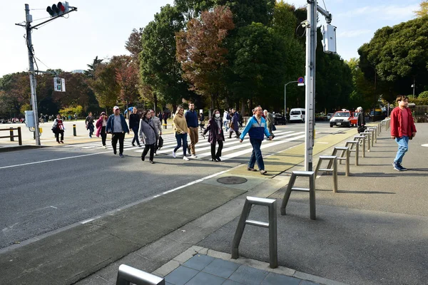 Tokyo Japan November 2019 Unidentified Blur Many People Walking Ueno — Stock Photo, Image