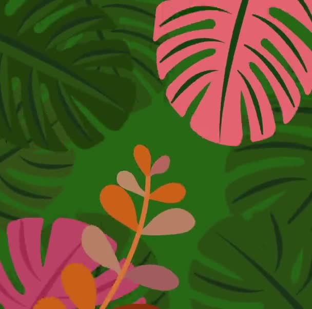 Colorful Leaves Green Background — Video Stock