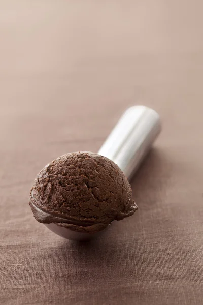 Chocolate ice cream on scooper — Stock Photo, Image