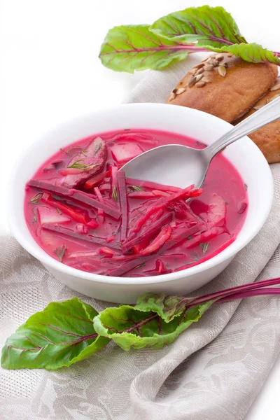 Russian-ukraine cuisine - borsch — Stock Photo, Image