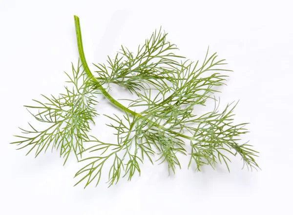 Isolated dill — Stock Photo, Image