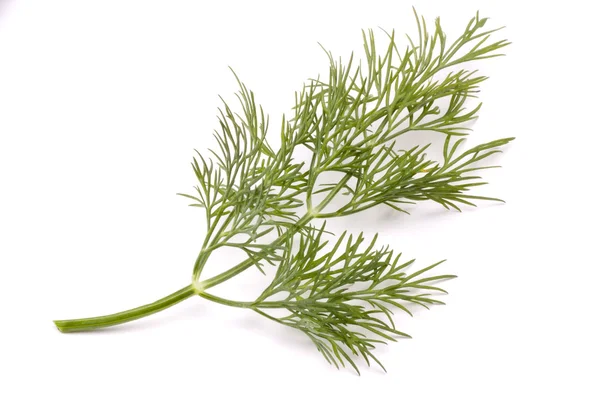 Isolated dill — Stock Photo, Image