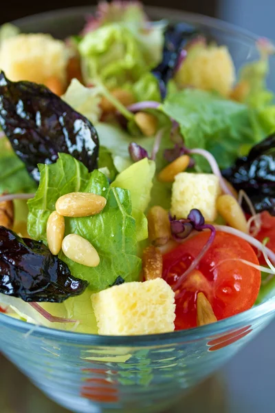 Fräsch sallad — Stockfoto