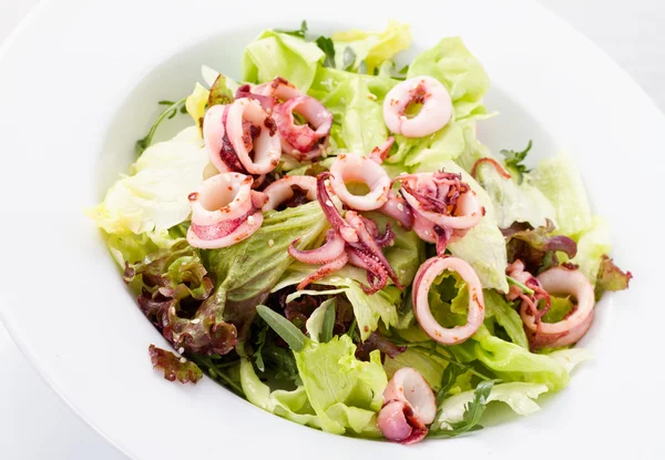 Squid & salade — Stockfoto