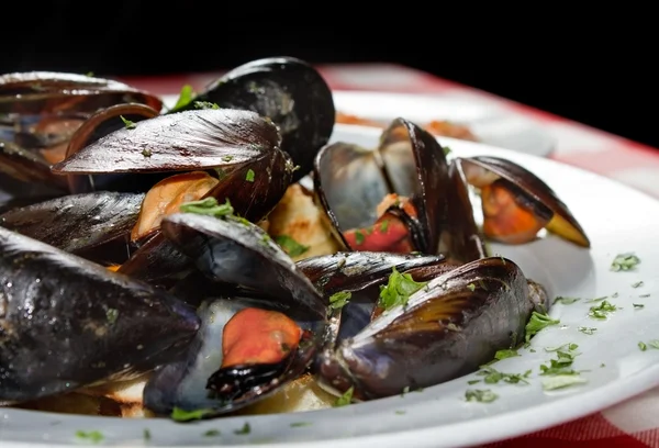 Moules en gros plan — Photo