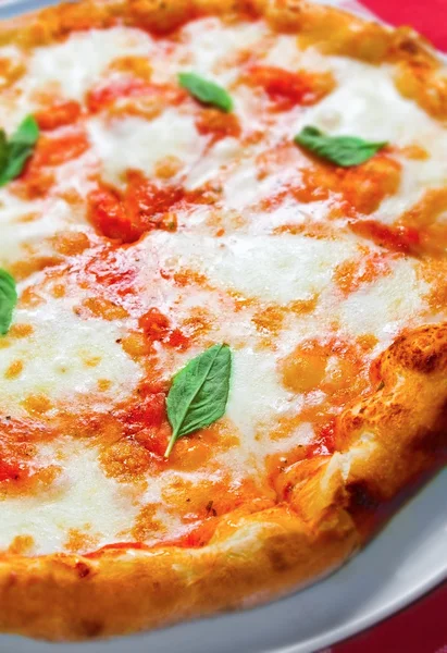 Margherita pizza — Zdjęcie stockowe