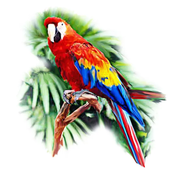 Guacamaya dibujo fotos de stock, imágenes de Guacamaya dibujo sin royalties  | Depositphotos