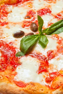 Pizza margherita portre 