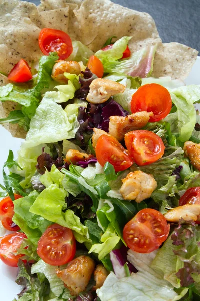 Kip salade tortilla — Stockfoto