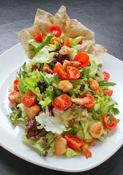 Ensalada de pollo — Foto de Stock