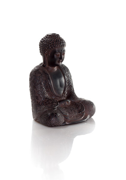 wisdom buddha isolated on a white background