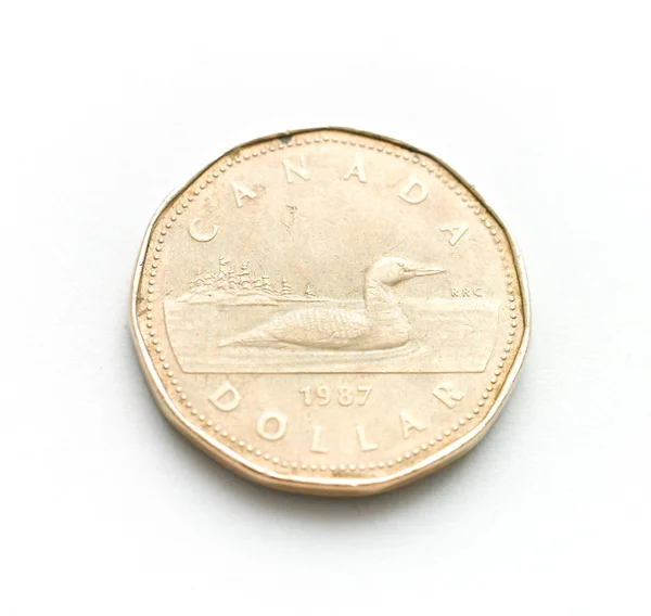 Jeden Dolar kanadyjski — Zdjęcie stockowe