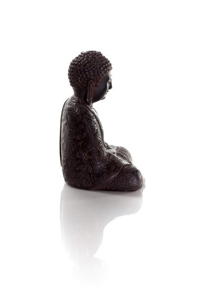 Profile of wisdom buddha