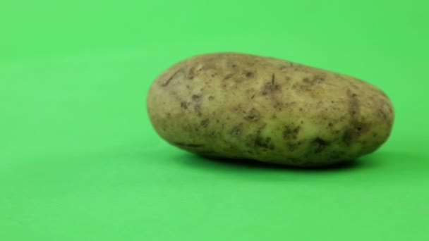 Картошка на поворотном столе — стоковое видео