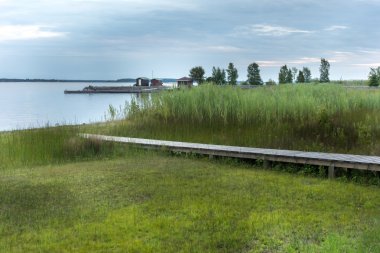 bir çim kaplı arazi