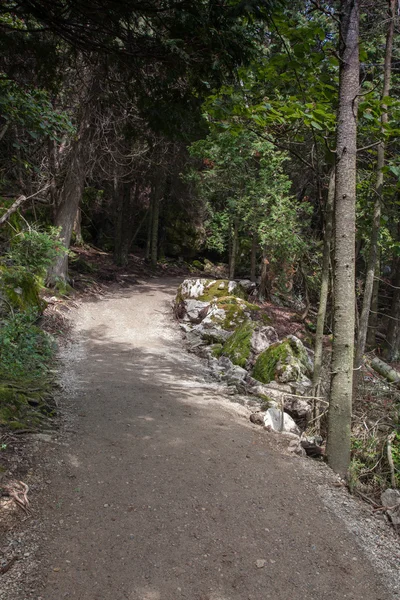 Yol — Stok fotoğraf