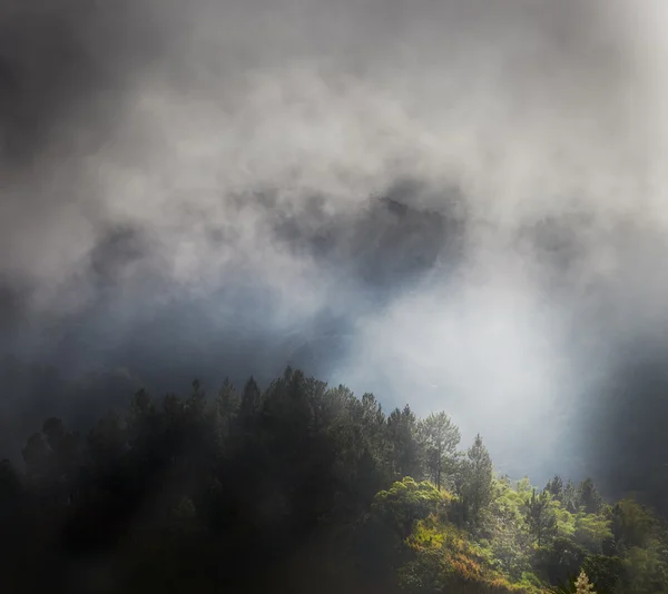 Fog on mountain — Stock Photo, Image