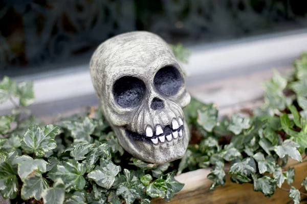 Decorative skull — Stock Photo, Image