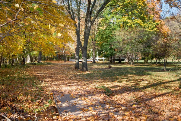 Parque de outono vazio — Fotografia de Stock