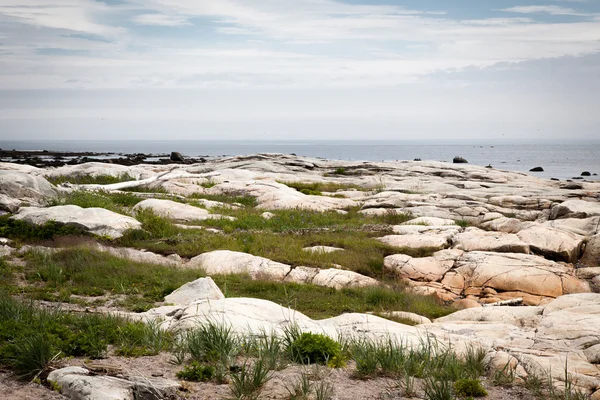 Stenen strand — Stockfoto