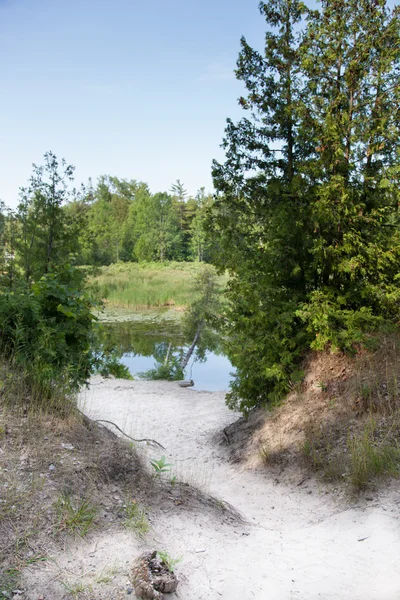 Smala gångstig — Stockfoto