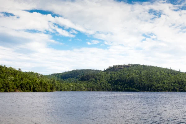 Skogen på kullarna nära i sjön — Stockfoto