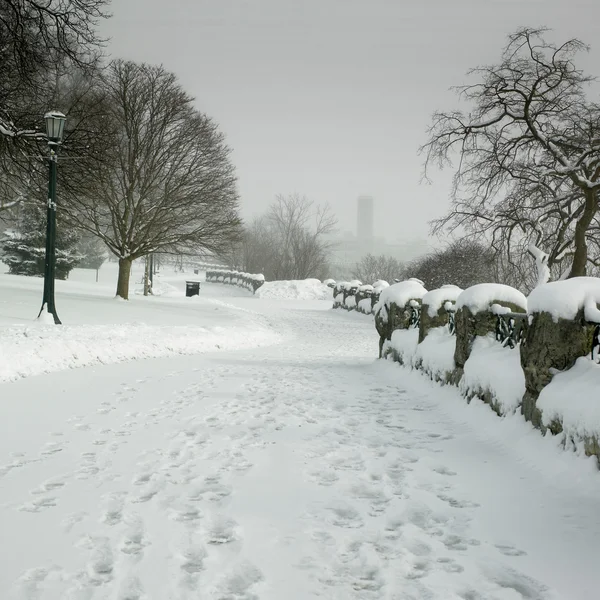 Snowy road in park — Stock Photo, Image