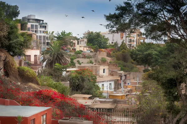 Edificios típicos — Foto de Stock