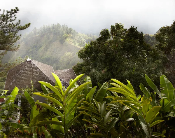 Brown roof — Stock Photo, Image