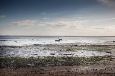 plaj gökyüzü altında.