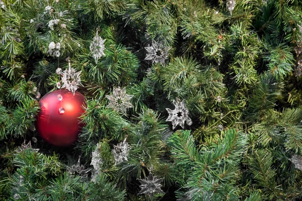 Kerstboom — Stockfoto