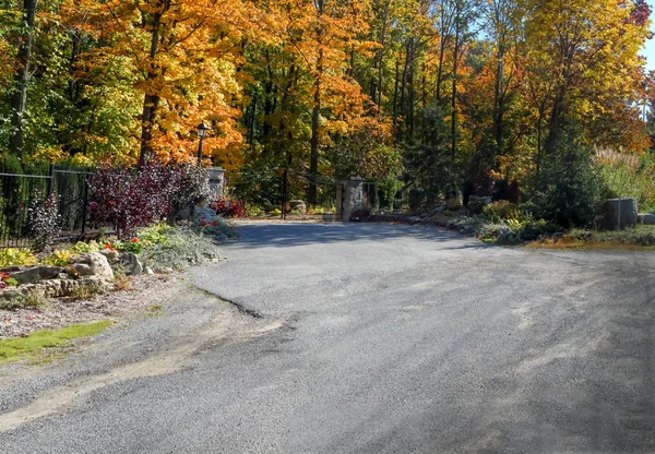 Weg met autumn forest — Stockfoto