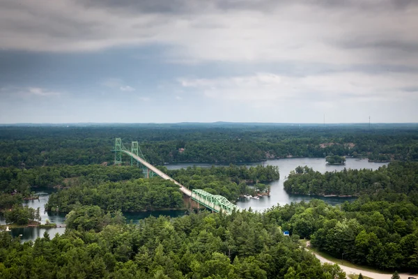 Foresta con un ponte sul fiume — Foto Stock