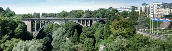 Ponte com floresta ao redor — Fotografia de Stock