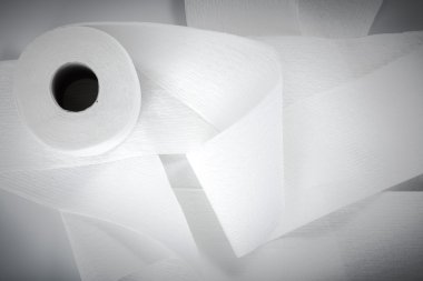Tuvalet kağıdı rulosu