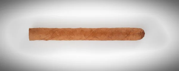 Brown cigar — Stock Photo, Image