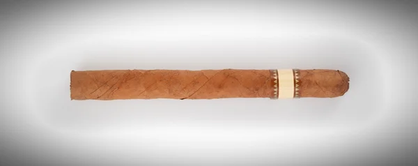 Zigarre mit Etikett — Stockfoto