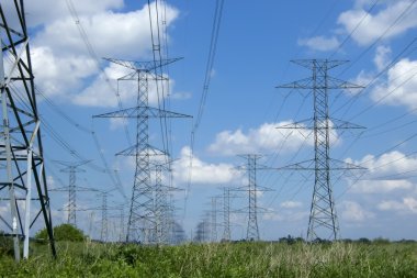 Elektrik direkleri