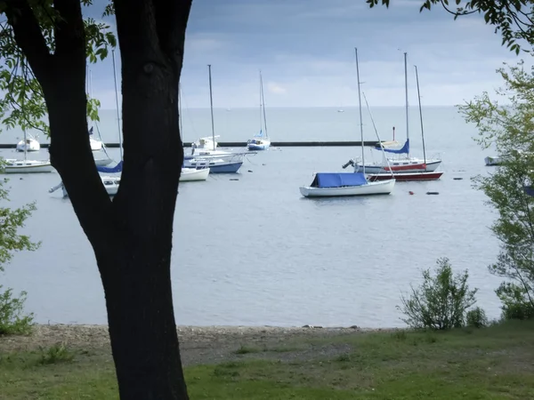 Bir limanda palamarla Yelkenliler — Stok fotoğraf