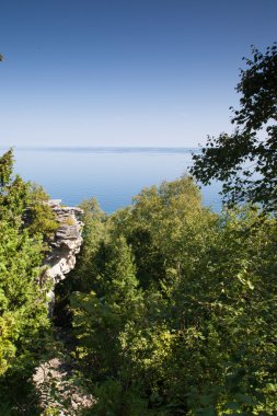 Ağaçlar Körfezi içinde belgili tanımlık geçmiş ile