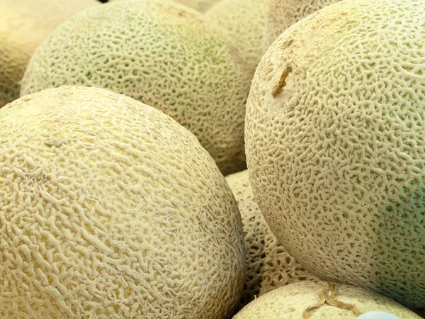 Fresh melons — Stock Photo, Image