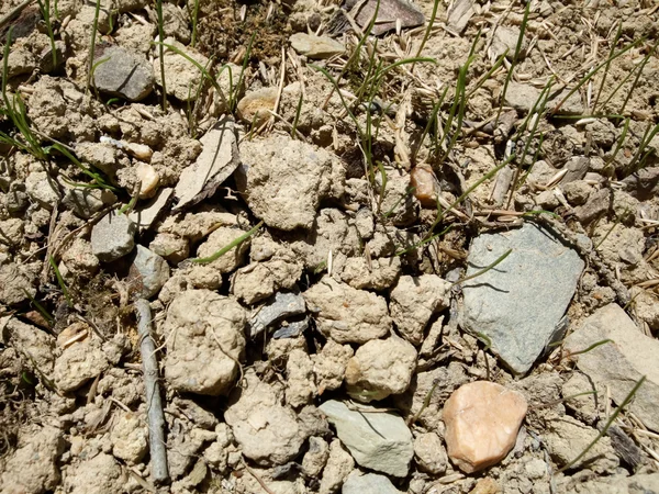 Rocks in field — Stock Photo, Image
