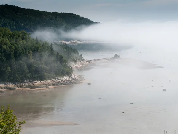 Mgła nad rzeką — Zdjęcie stockowe