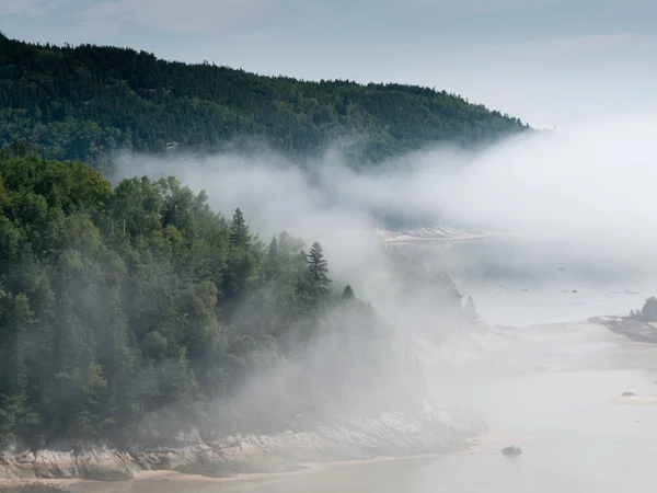 Fog over river — Stock Photo, Image