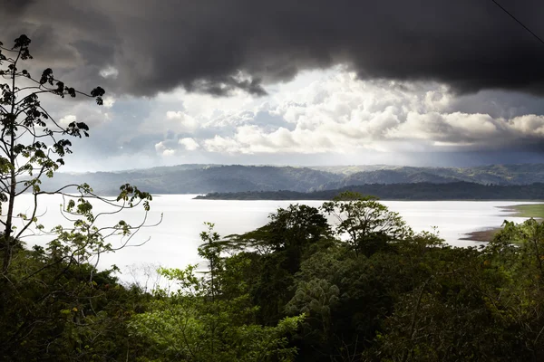 Lago nella foresta — Foto Stock